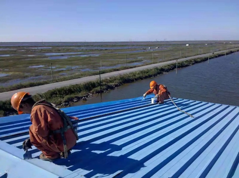 闽侯钢结构屋面漏水原因